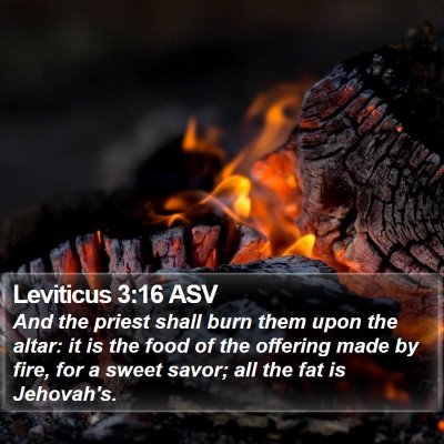 Leviticus 3:16 ASV Bible Verse Image