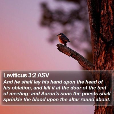 Leviticus 3:2 ASV Bible Verse Image