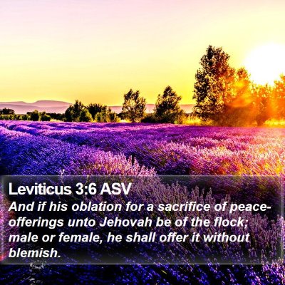 Leviticus 3:6 ASV Bible Verse Image