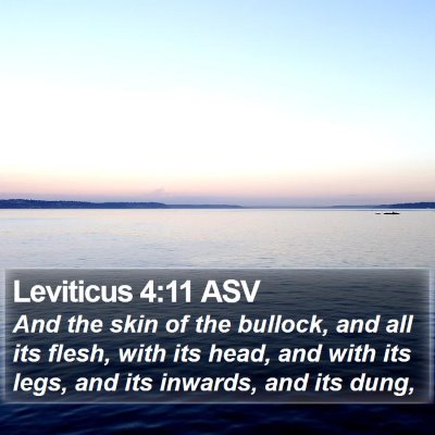 Leviticus 4:11 ASV Bible Verse Image