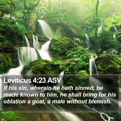 Leviticus 4:23 ASV Bible Verse Image