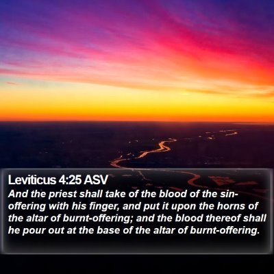Leviticus 4:25 ASV Bible Verse Image