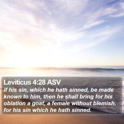 Leviticus 4:28 ASV Bible Verse Image