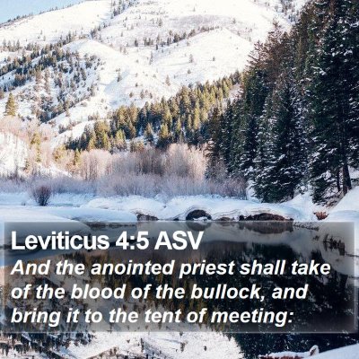Leviticus 4:5 ASV Bible Verse Image