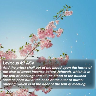 Leviticus 4:7 ASV Bible Verse Image
