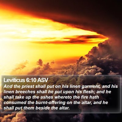 Leviticus 6:10 ASV Bible Verse Image