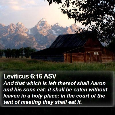 Leviticus 6:16 ASV Bible Verse Image