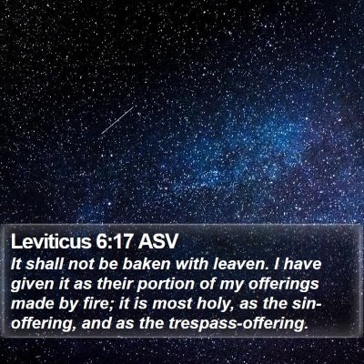 Leviticus 6:17 ASV Bible Verse Image