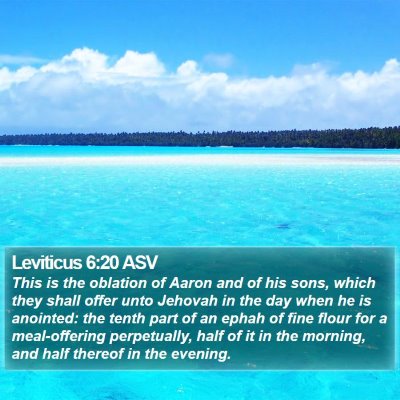 Leviticus 6:20 ASV Bible Verse Image