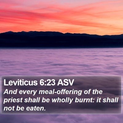 Leviticus 6:23 ASV Bible Verse Image