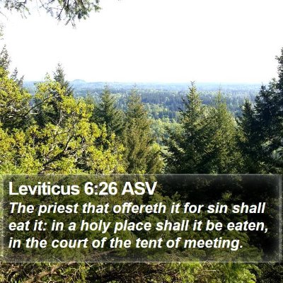 Leviticus 6:26 ASV Bible Verse Image