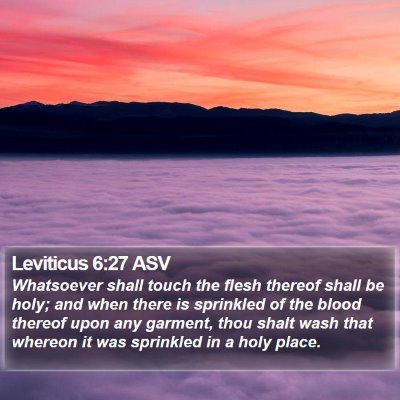 Leviticus 6:27 ASV Bible Verse Image