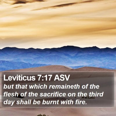 Leviticus 7:17 ASV Bible Verse Image