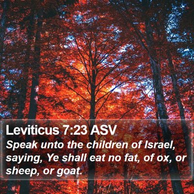 Leviticus 7:23 ASV Bible Verse Image
