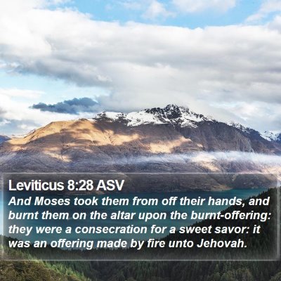 Leviticus 8:28 ASV Bible Verse Image