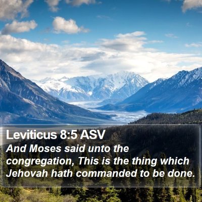 Leviticus 8:5 ASV Bible Verse Image