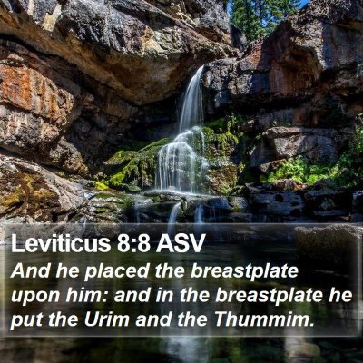 Leviticus 8:8 ASV Bible Verse Image