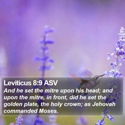 Leviticus 8:9 ASV Bible Verse Image