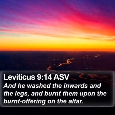 Leviticus 9:14 ASV Bible Verse Image