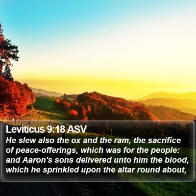 Leviticus 9:18 ASV Bible Verse Image
