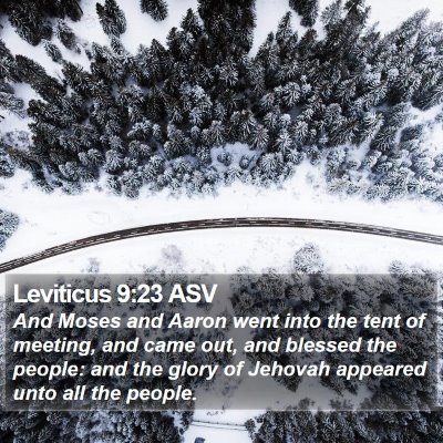Leviticus 9:23 ASV Bible Verse Image