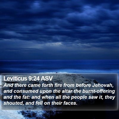 Leviticus 9:24 ASV Bible Verse Image