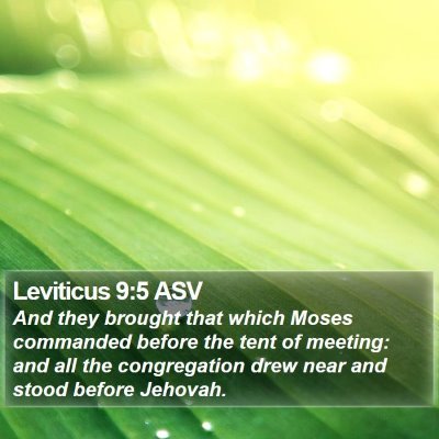 Leviticus 9:5 ASV Bible Verse Image