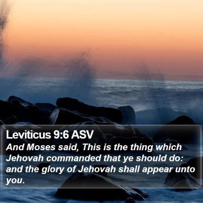 Leviticus 9:6 ASV Bible Verse Image