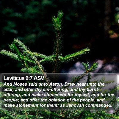 Leviticus 9:7 ASV Bible Verse Image