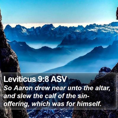 Leviticus 9:8 ASV Bible Verse Image