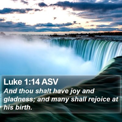 Luke 1:14 ASV Bible Verse Image