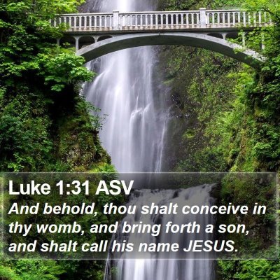 Luke 1:31 ASV Bible Verse Image