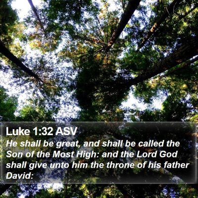 Luke 1:32 ASV Bible Verse Image