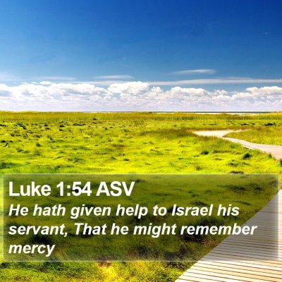 Luke 1:54 ASV Bible Verse Image