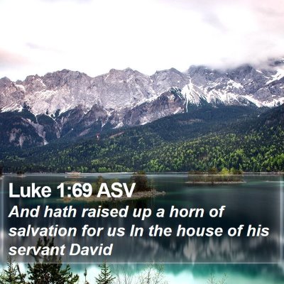 Luke 1:69 ASV Bible Verse Image