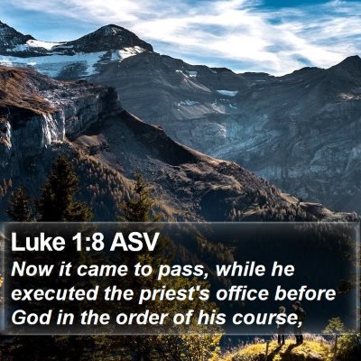 Luke 1:8 ASV Bible Verse Image