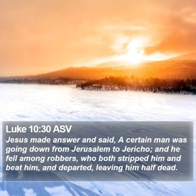 Luke 10:30 ASV Bible Verse Image