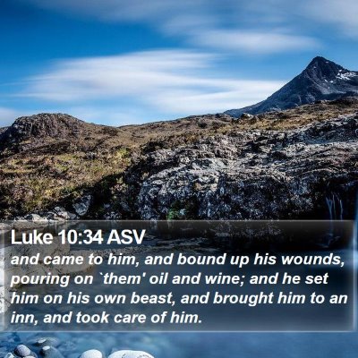 Luke 10:34 ASV Bible Verse Image