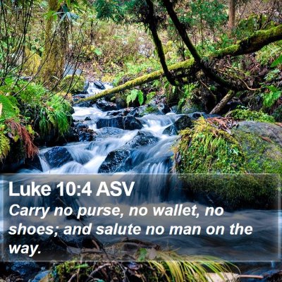 Luke 10:4 ASV Bible Verse Image