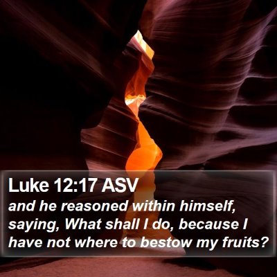 Luke 12:17 ASV Bible Verse Image