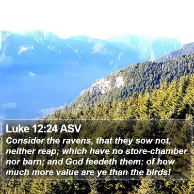 Luke 12:24 ASV Bible Verse Image