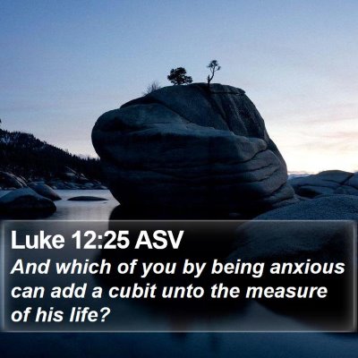 Luke 12:25 ASV Bible Verse Image