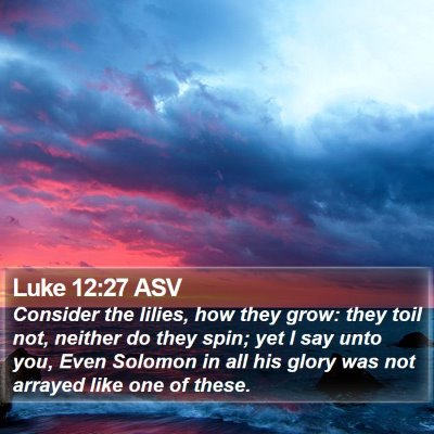 Luke 12:27 ASV Bible Verse Image