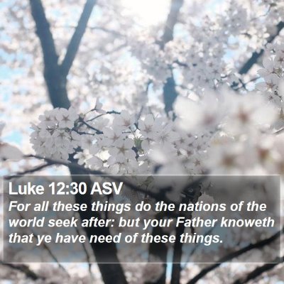 Luke 12:30 ASV Bible Verse Image