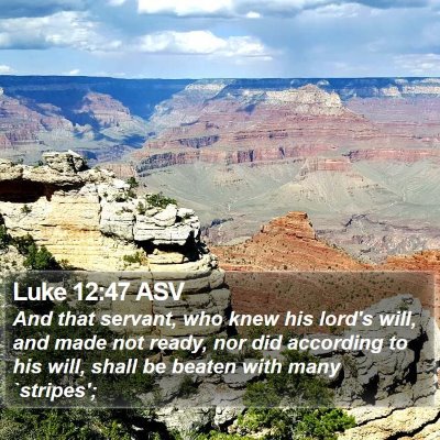 Luke 12:47 ASV Bible Verse Image
