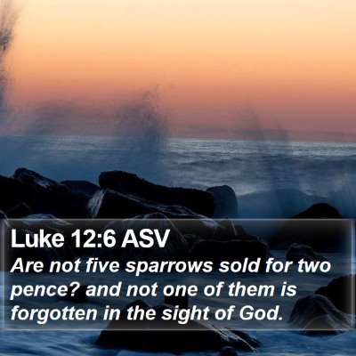 Luke 12:6 ASV Bible Verse Image