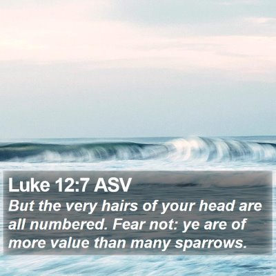 Luke 12:7 ASV Bible Verse Image