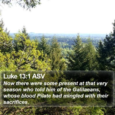 Luke 13:1 ASV Bible Verse Image