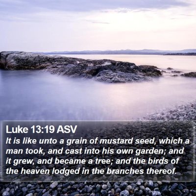 Luke 13:19 ASV Bible Verse Image