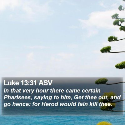 Luke 13:31 ASV Bible Verse Image